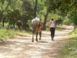horse riding
